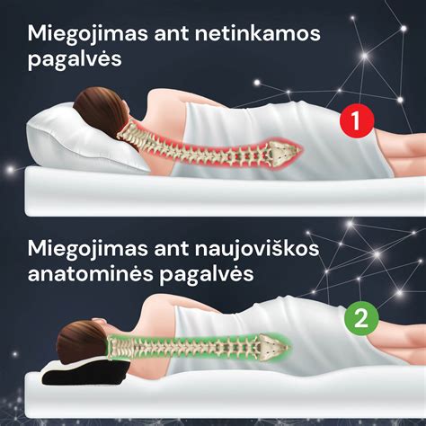 anatominė uodegikaulio schema