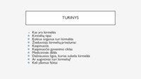 Informacinė grafika apie skirtingus slapukų tipus ir jų paskirtį