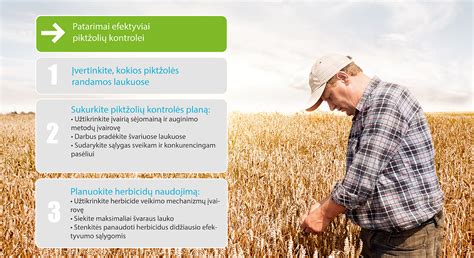 Herbicidų naudojimo taisyklės