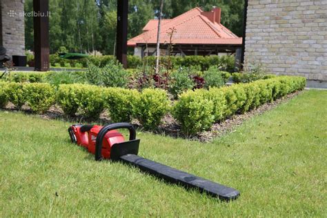 genėjimo įrankiai gyvatvorės priežiūrai