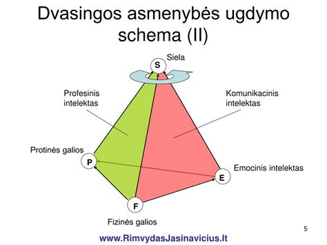 Visuminio ugdymo schema