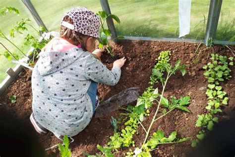 Vaikai darželyje sodina daržoves šiltnamyje