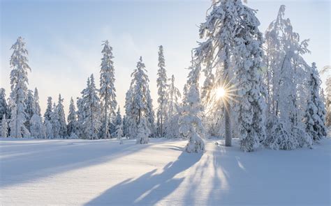 Snieguota Lietuvos gamta žiemą