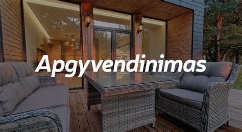 Saulėta vasaros diena Lietuvos miške ar prie ežero