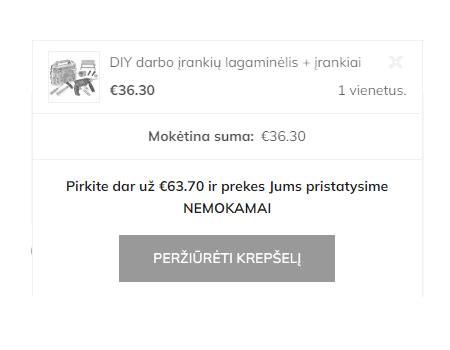 BabyCity/ToyCity internetinės parduotuvės pristatymo galimybės