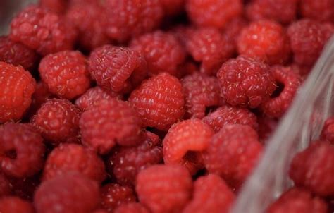 Aviečių maistinė vertė ir nauda sveikatai