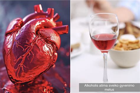 Alkoholio kelias per placentą į vaisių