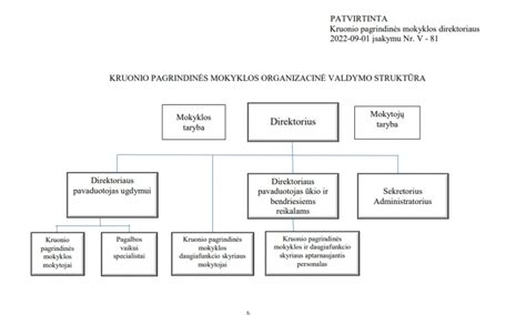 JAV švietimo sistemos struktūros schema