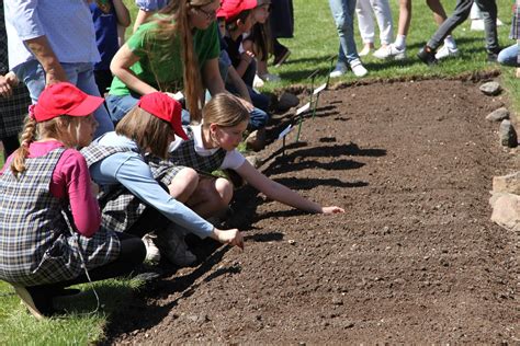 vaikai, mokantys gamtosaugos principų