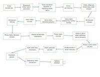 Pedagogų rengimo proceso schema