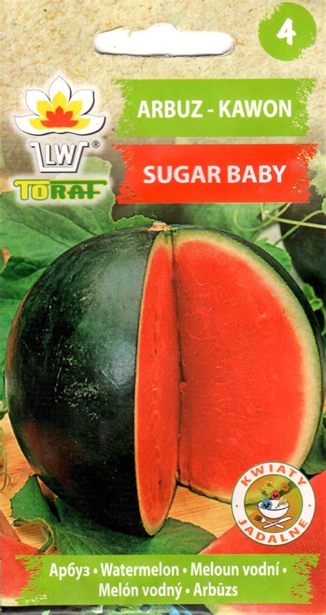 Arbūzas 'Sugar Baby' vaisiai