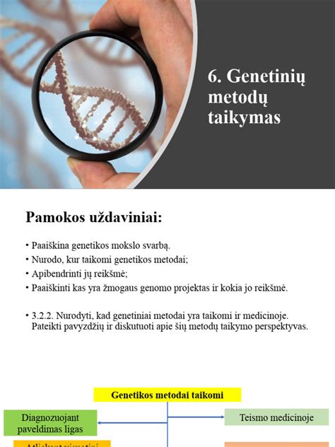 Genetinių veiksnių schema