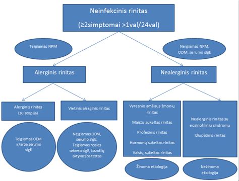 Schema, iliustruojanti principą 