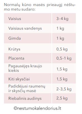 Vaisiaus dydis ir svoris pagal nėštumo savaites