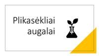 Plikasėklių augalų schema