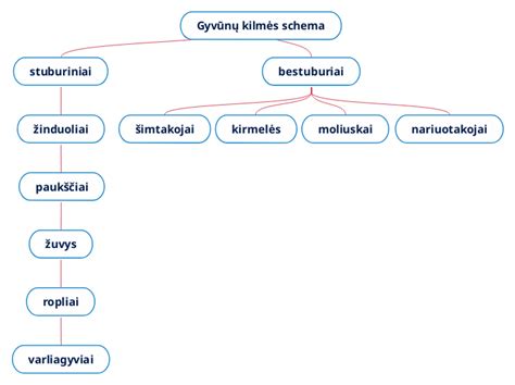 Schema: Teisėto gyvybės atėmimo pagrindai