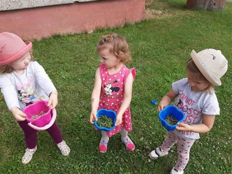 Vaikų grupė tyrinėja gamtą lauke