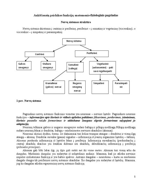 Mokytojų rengimo sistemos struktūra