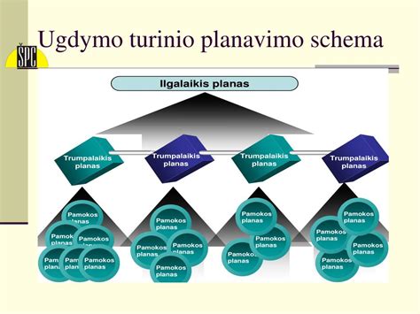 Ugdymo planavimo schema