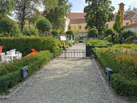 Vaistažolių daržas Bernardinų sode