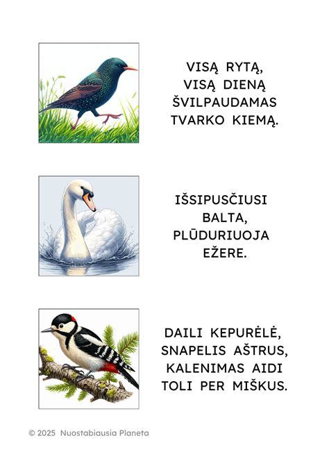 Ornitologas veda edukacinę pamoką vaikams apie paukščius