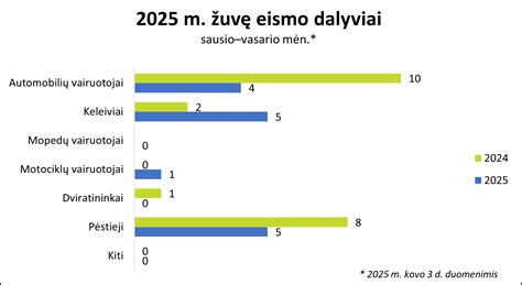 infografika su pagrindinėmis eismo įvykių priežastimis