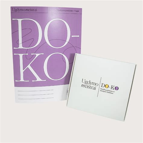 Vaizdinis pavyzdys: žaidimas „DO-KO“