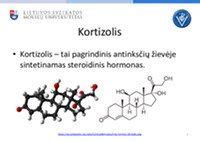 FSH hormono struktūra ir sekrecijos mechanizmas
