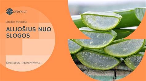 Nėščioji inhaliuojanti garus nuo slogos