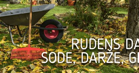 Sideratinių augalų pasėlis darže