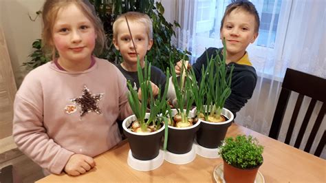 vaikai sodina daržoves