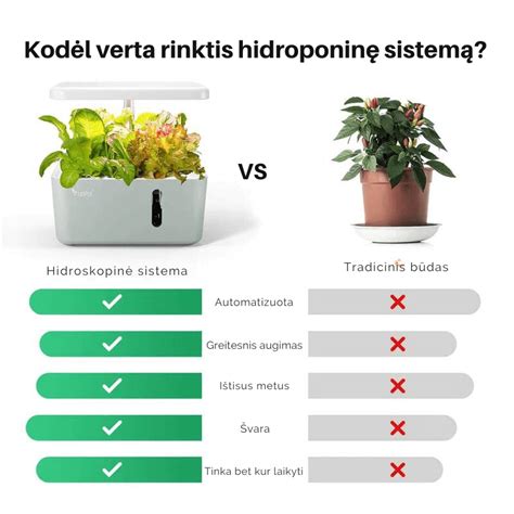 schema, vaizduojanti pagrindinius hidroponinės sistemos komponentus: rezervuarą, siurblį ir augalų talpas