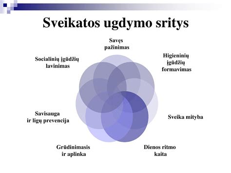vaikų ugdymo sritys schema