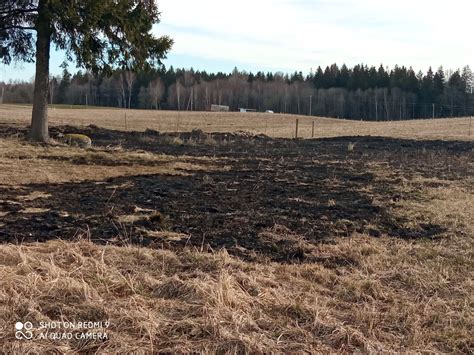 Informacinė schema apie žolės deginimo pavojus gamtai
