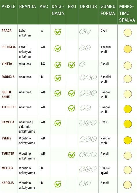 Daržo pupų veislių palyginimas