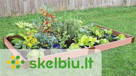 daržo lysvių planavimo schema