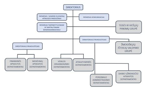 hCG hormono struktūros ir funkcijų schema