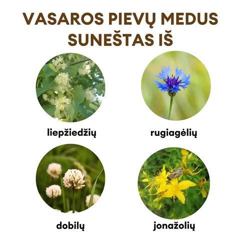 Vėsi vieta mirtos žiemojimui