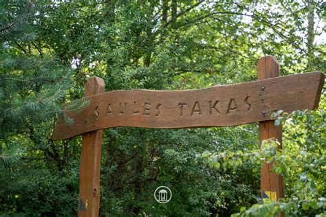 tvarkingų takų pavyzdžiai darže