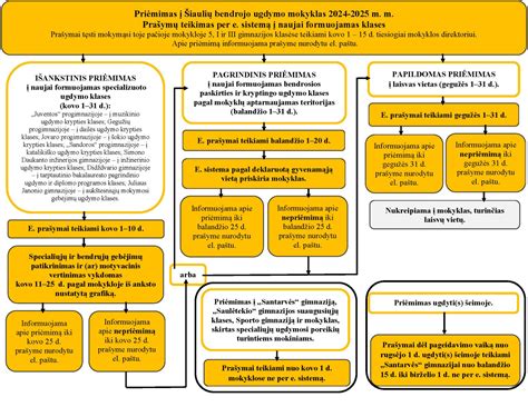 priėmimo į mokyklą procesas schema