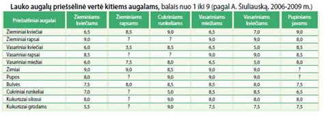 sėjomainos schema daržo lysvėms