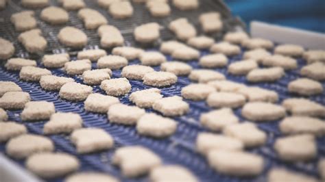 Ekologinė kūdikių maisto gamyba ir kokybės kontrolė