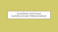 Montessori darželio aplinkos pavyzdys su natūraliomis priemonėmis