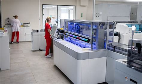 Apvaisinimo in vitro procesas laboratorijoje
