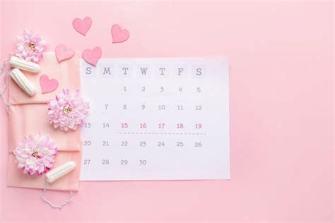 Menstruacinio ciklo fazės ir ovuliacijos laikas