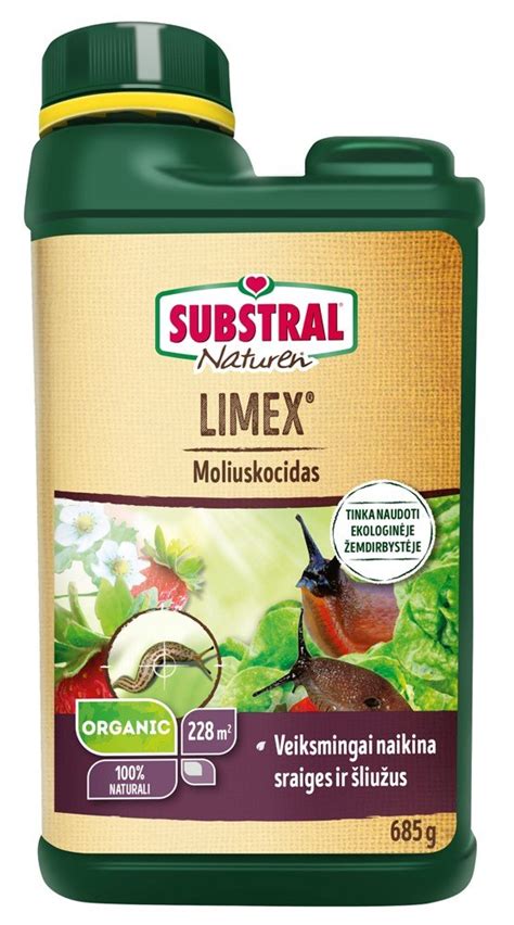 Šliužų ir grambuolių lervų daroma žala braškių krūmeliams