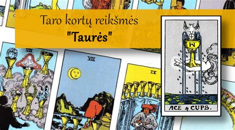 Taro kortų ir Zodiako ženklų sąsaja