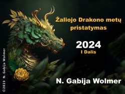 Drakono ir Jo Elementų Schema