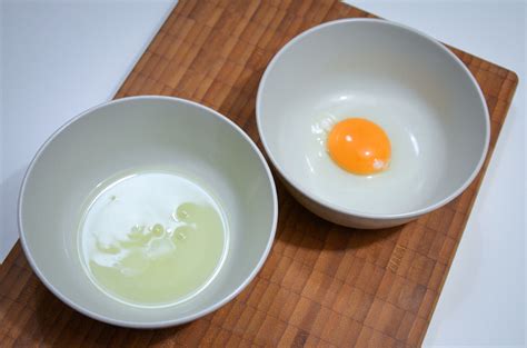 Schematinis vaizdas, kaip kiaušinio komponentai (baltymas, trynys, lukštas) prisideda prie šuns mitybos.