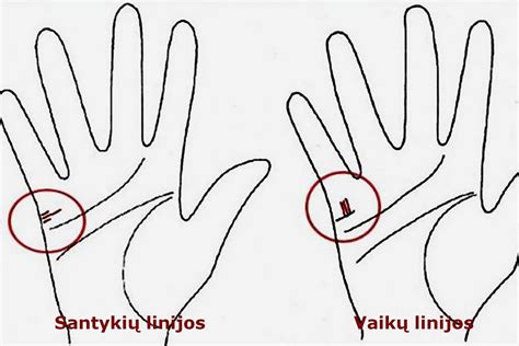 Vaikų linijų padėtis ant delno